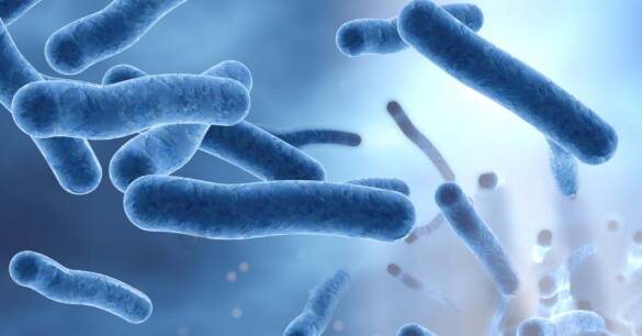 Control de Legionella