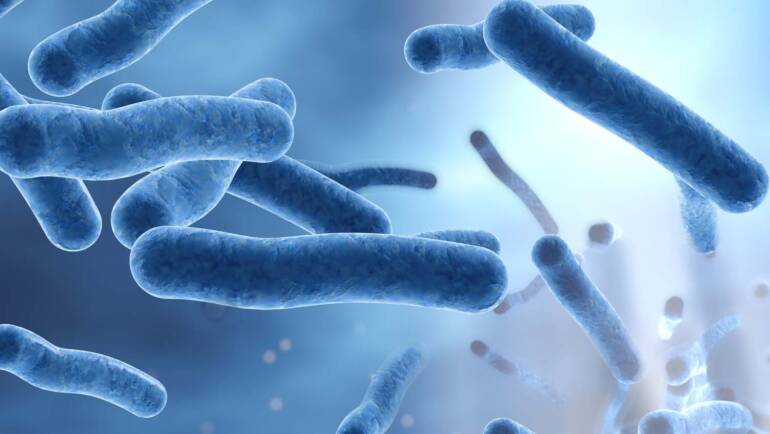 Control de Legionella